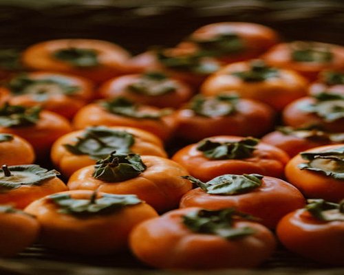 Seseorang berjalan kaki menyusuri trotoar rindang di pagi hari